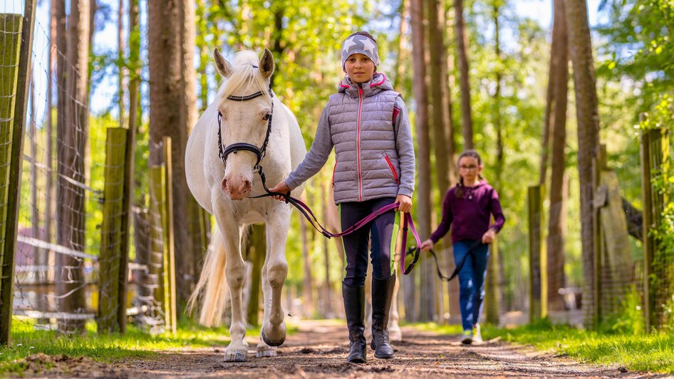 Horses at the Römerhütte | flotoanker | © Kräuterregion Wechselland, Oststeiermark Tourismus Pferde bei der Römerhütte | © Kräuterregion Wechselland, Oststeiermark Tourismus