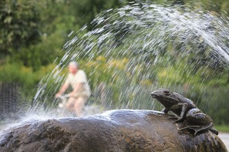 Froschbrunnen@Bergmann | © Bernhard Bergmann