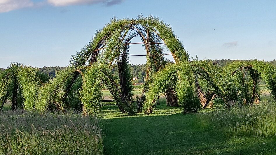 Weidenbau im Kurpark | © Kurkommission Bad Blumau