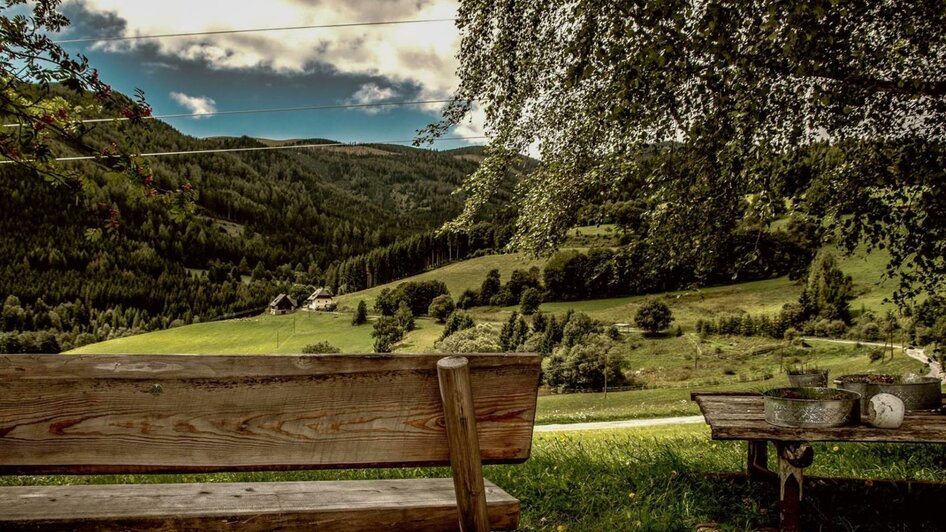 Ausblick | © Werner Lückl