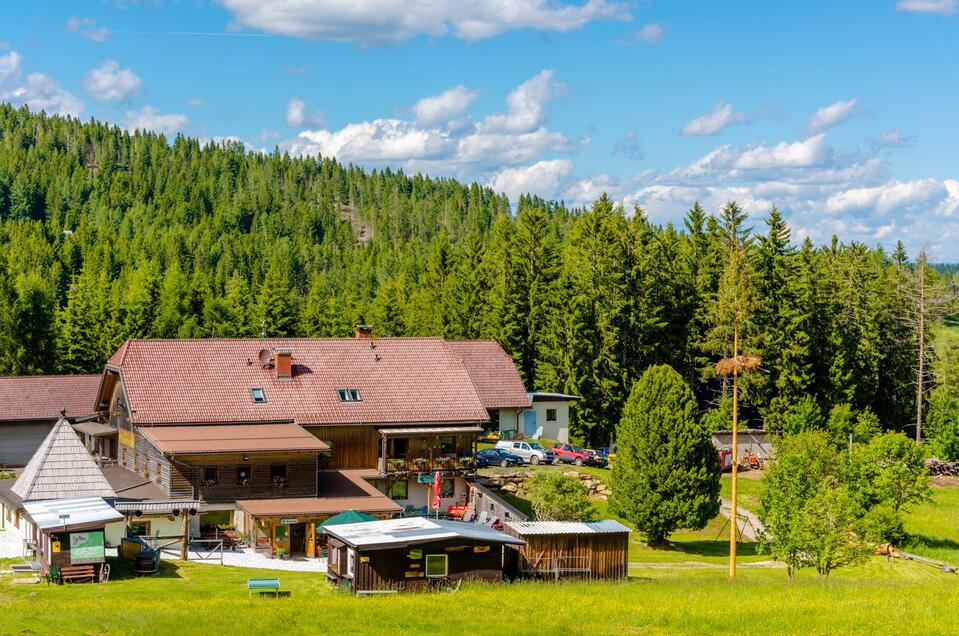 Gasthof Rieseralm - Impression #1 | © Gasthof Rieseralm