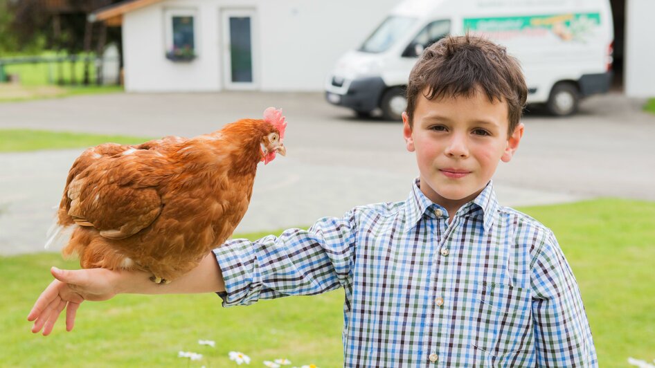 Geflügelhof-Huhn-Murtal-Steiermark | © Kaltenegger