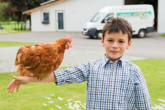 Geflügelhof-Huhn-Murtal-Steiermark | © Kaltenegger