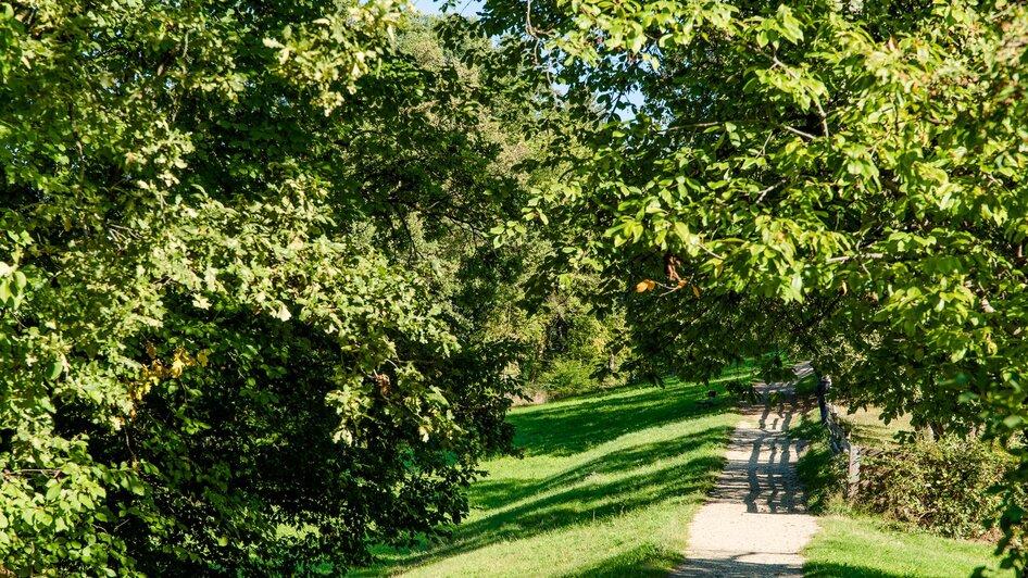 Genussplatz Schloss Lustbühel - Spazierweg | MIAS PHOTOART    _MICHAELA PFLEGERR | © Graz Tourismus - Mias Photoart Genussplatz Schloss Lustbühel - Spazierweg | © Graz Tourismus - Mias Photoart