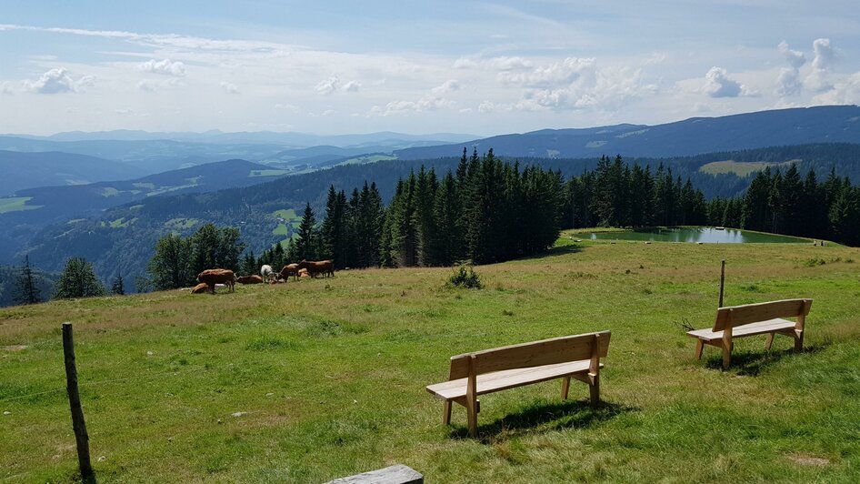 Glatzl Trahütten Alm_Ausblick_Oststeiermark | © Glatzl Trahütten Alm