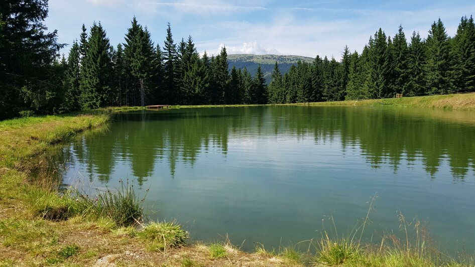 Glatzl Trahütten Alm_Teich_Oststeiermark | © Glatzl Trahütten Alm