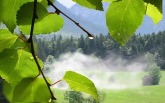 Goldschmiede Steiner, Grundlsee, Dampfende Wiese | © TVB Ausseerland