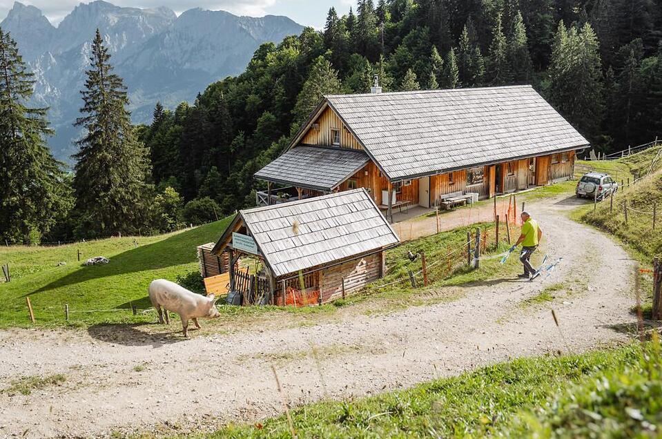 Schaukäserei | Christoph Lukas | © Christoph Lukas Grabnerhof Käserei - Impression #1 | © Christoph Lukas