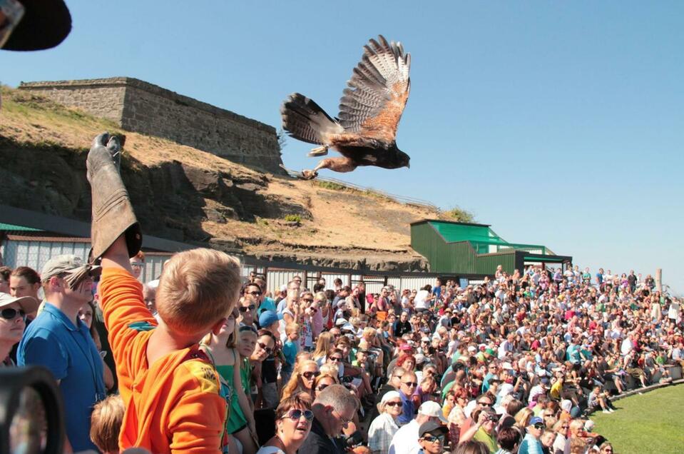 Riegersburg Bird of Prey Observatory - Impression #1 | © Greifvogelwarte Riegersburg