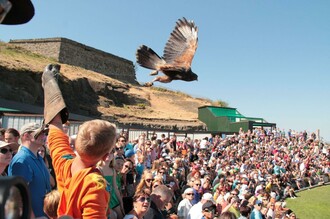 Greifvogelwarte | © Greifvogelwarte Riegersburg