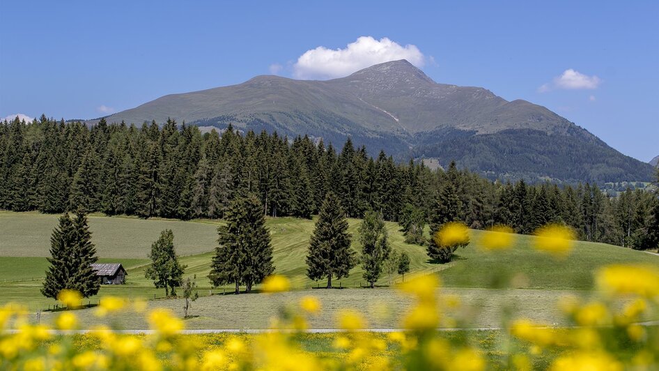 Greim im Frühling | © ikarus.cc