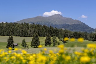 Greim im Frühling | © ikarus.cc