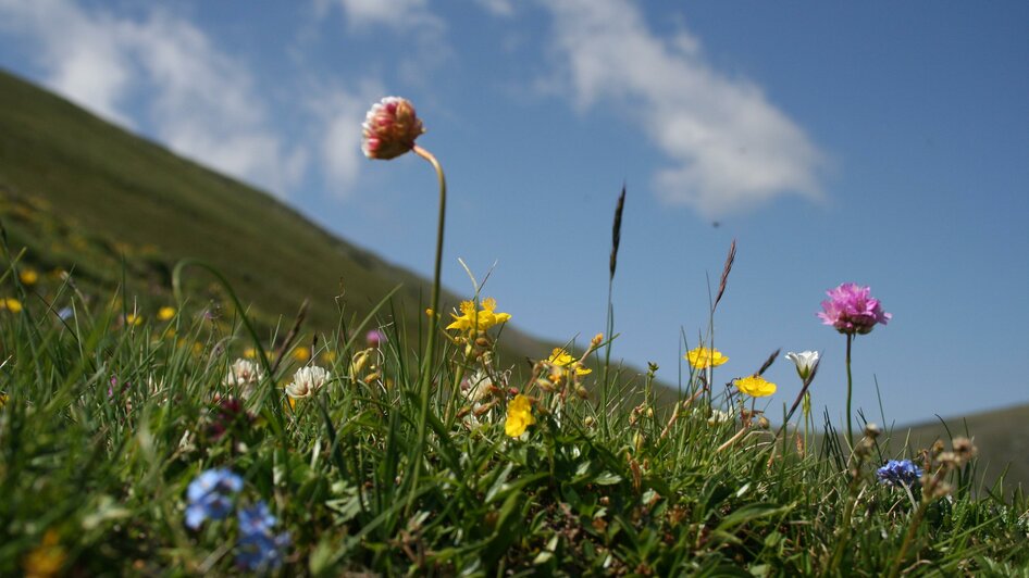 GrillerHütte-Ansicht7-Murtal-Steiermark | © Erlebnisregion Murtal