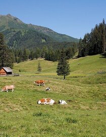 Hölleralm-Sommer-Hohentauern-Murtal-Steiermark | © Herbert Raffalt | Herbert Raffalt | © Herbert Raffalt Hölleralm-Sommer-Hohentauern-Murtal-Steiermark | © Herbert Raffalt | Herbert Raffalt | © Herbert Raffalt