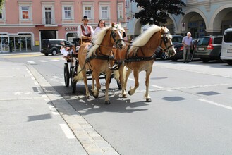 Kutsche-Jdbg-Murtal-Steiermark | © Katschnig