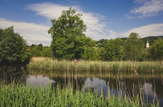 Hartberger Gmoos_Teich_Oststeiermark | © Tourismusverband Oststeiermark