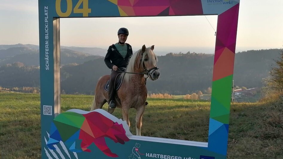 Hartberger Höh_Ausblick mit Pferd_Oststeiermark | © Gemeinde Schäffern