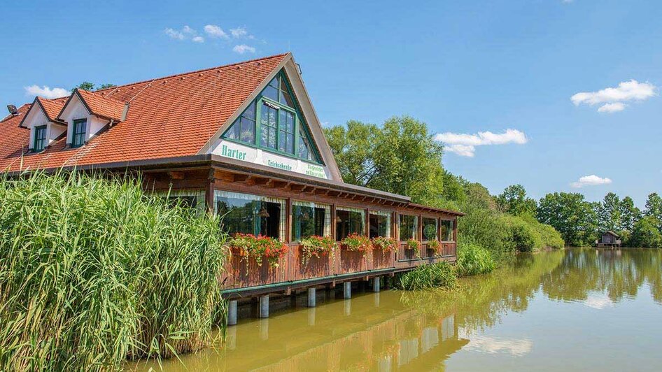 Harter Teichschenke_Am Wasser_Oststeiermark | © Familie Wurzer