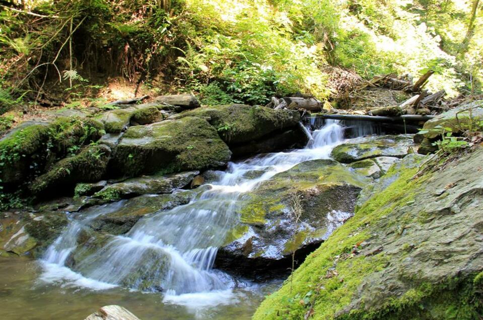 Heiligengeistklamm - Impression #1 | © Ulrike Elsneg | Heiligengeistklamm