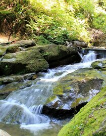 Heiligengeist | © Ulrike Elsneg | Heiligengeistklamm | Ulrike Elsneg | © Ulrike Elsneg | Heiligengeistklamm