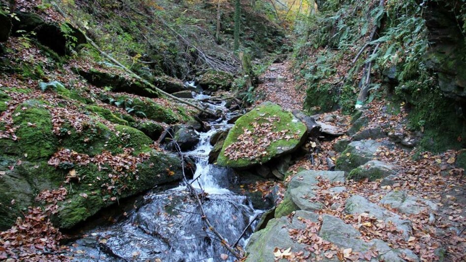 Heiligengeistklamm Herbst | © Ulrike Elsneg | Heiligengeistklamm