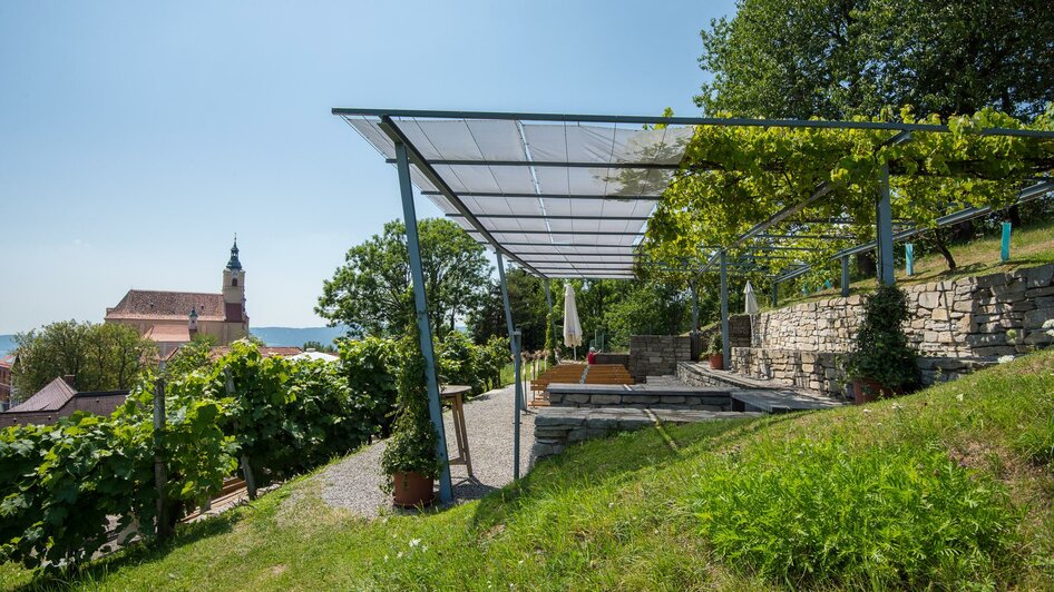 Weingarten_Pöllauberg_Oststeiermark | © Helmut Schweighofer