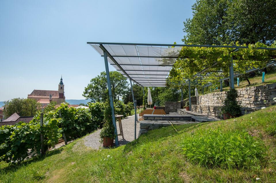 Get married in the Pöllauberg vineyard - Impression #1 | © Helmut Schweighofer