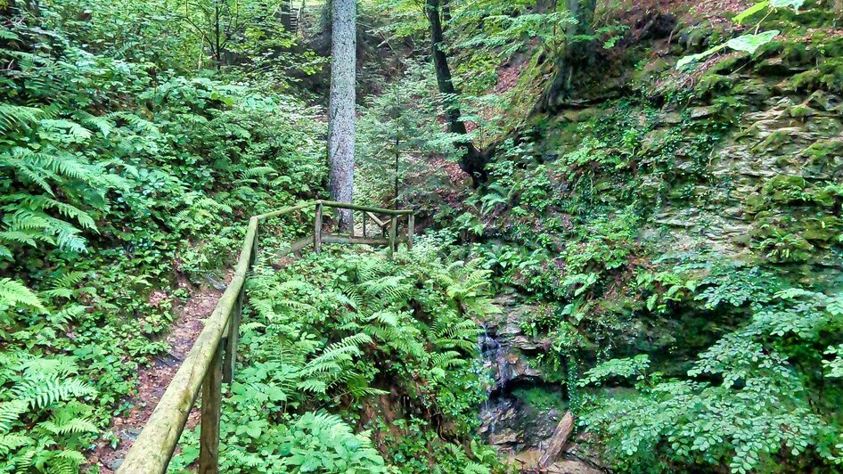 Himmelsstiege bei der Heilbründl-Runde 4 | © Oststeiermark Tourismus