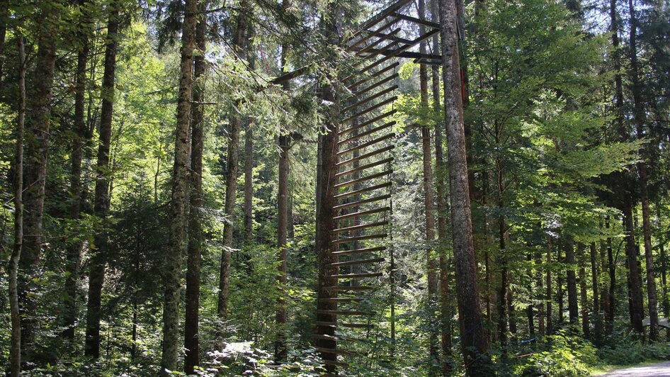 Hochseilkletterpark, Altaussee, Hängeleiter | © Viola Lechner