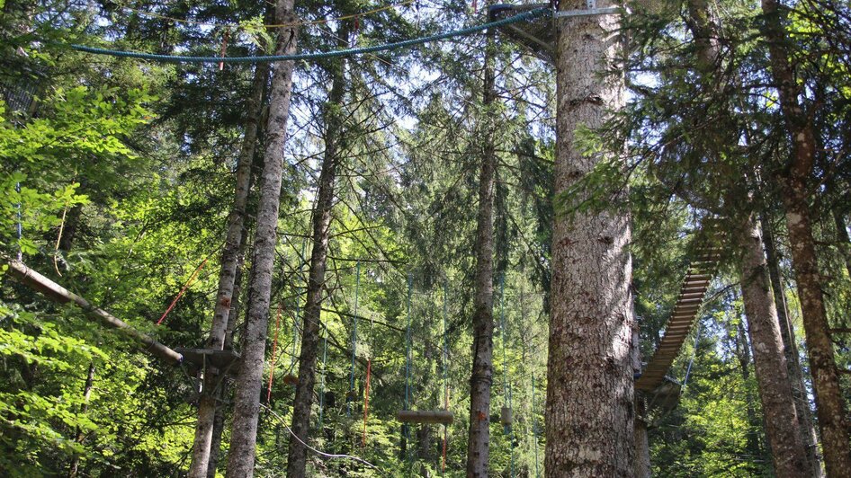 Hochseilkletterpark, Altaussee, Balancieren | © Viola Lechner