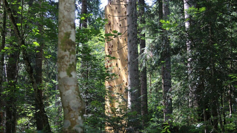 Hochseilkletterpark, Altaussee, Kletterwand | © Viola Lechner