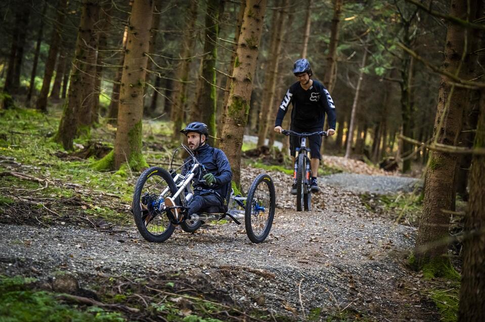 Hoftaltrail-Kobenz-Murtal-Steiermark | Lukas Pripfl | © Lukas Pripfl Hoftaltrail - Barrierefreier Trail - Impression #1 | © Lukas Pripfl