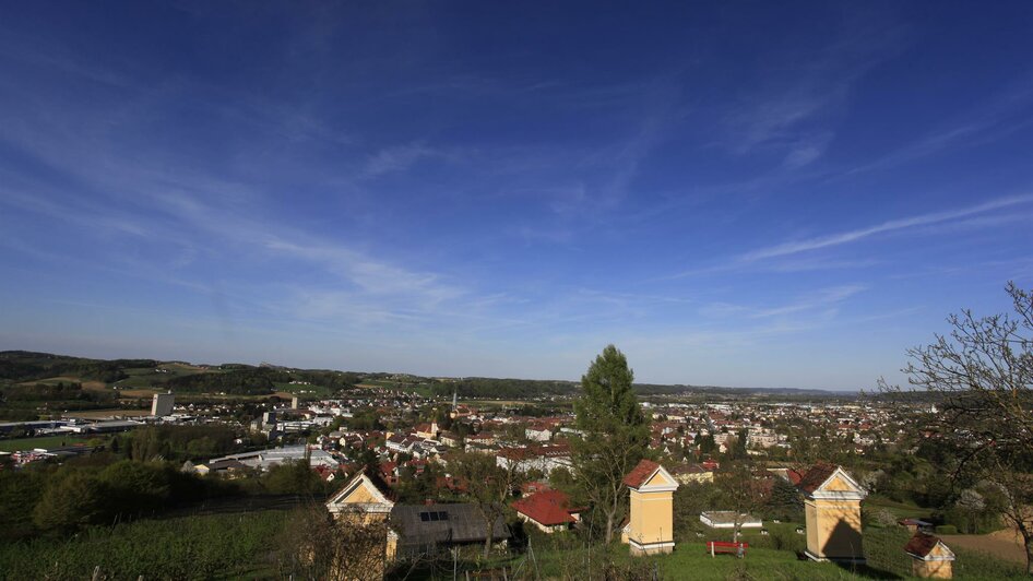 Holunder Wunderwelt am Kalvarienberg | © Holunder Wunderwelt