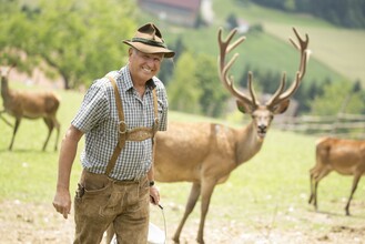 Hotel Muhr_Wildfütterung_Oststeiermark | © Karl Schrotter