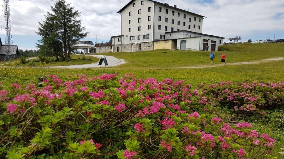 Hotel Berghof auf der Tauplitzalm | © Hotel Berghof