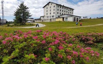 Hotel Berghof auf der Tauplitzalm | © Hotel Berghof