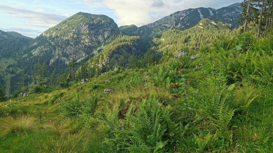 Ischler Hütte, Altaussee, Schönerg | © TVB Ausseerland Salzkammergut_Theresa Schwaiger