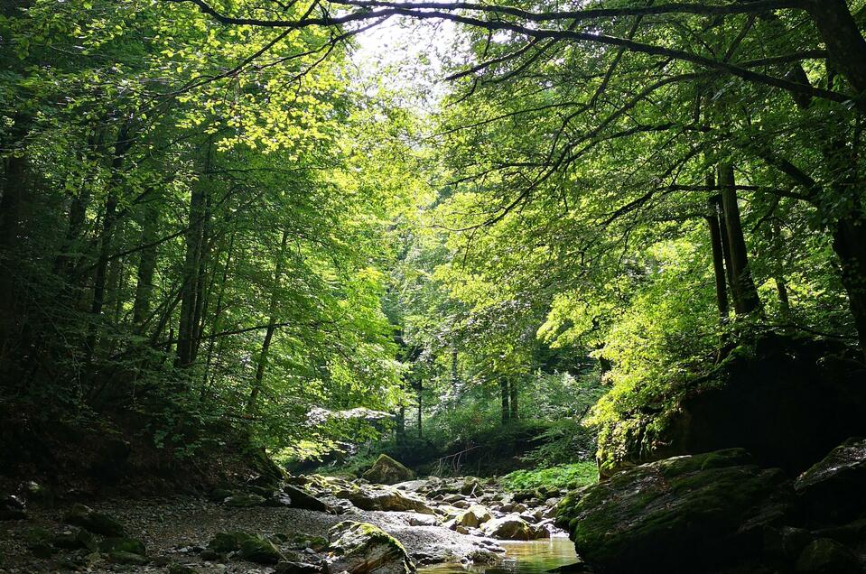 Jägerwirt  - Impression #1 | © Oststeiermark Tourismus