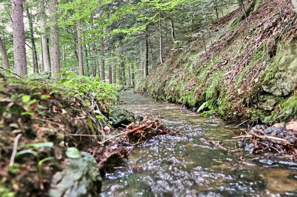 Artificial watercourse on the Ringkogel - Impression #1 | © Oststeiermark Tourismus