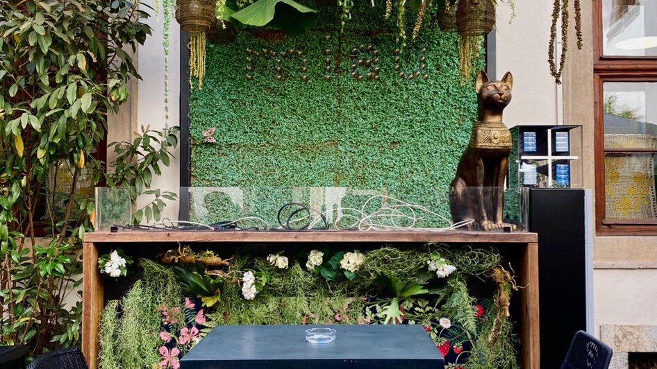 Katze Katze - DJ-Pult mit Pflanzenwand | © Katze Katze