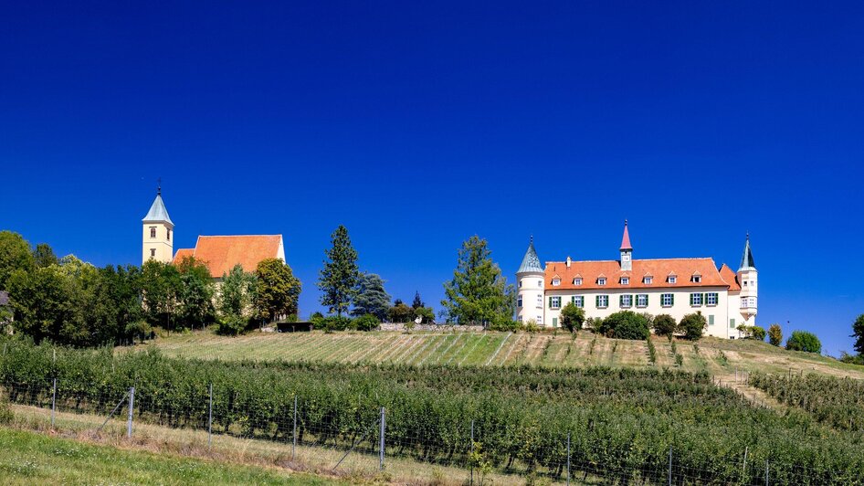 Der Weg ist das Ziel -  Den Buchkogel erwandern | © Graz Tourismus - Harry Schiffer