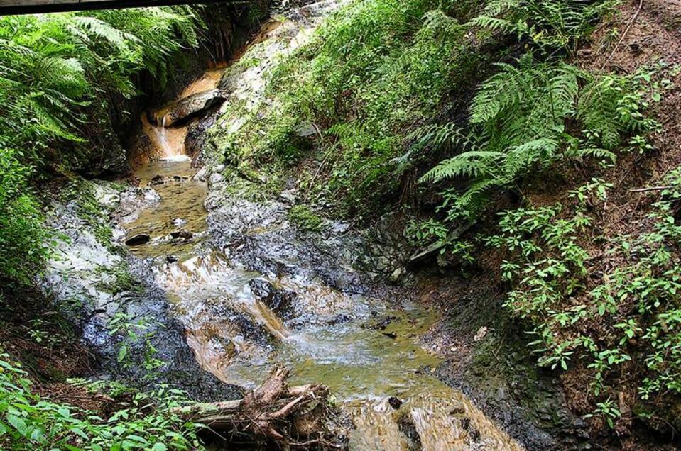 Klamm St. Lambrecht - Impression #1 | © Peter Hochleitner