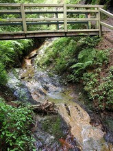 Klamm mit Steg | © Peter Hochleitner