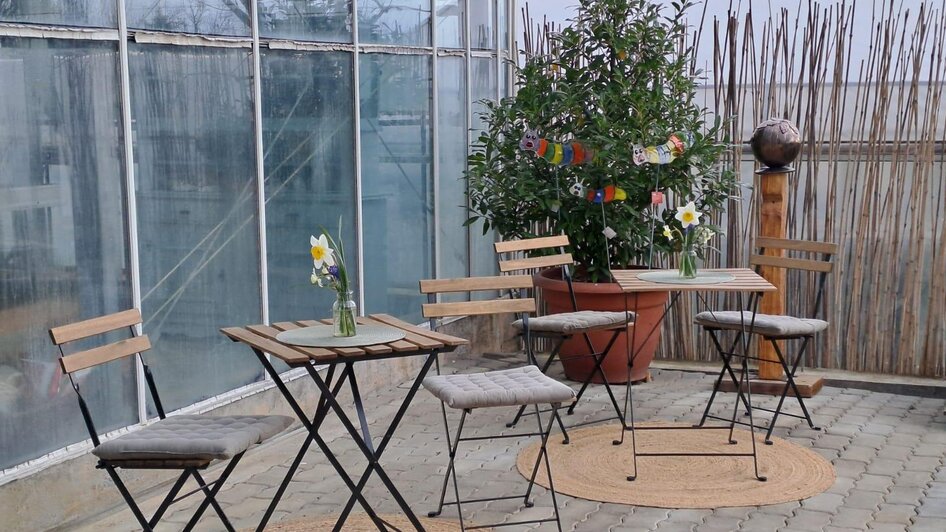 Kleines Café in der Biogärtnerei - Impression #2.1