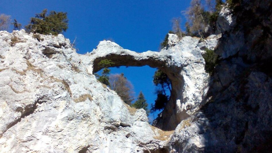 Teufelsbrücke | © www.kletterpark-mariazellerland.com