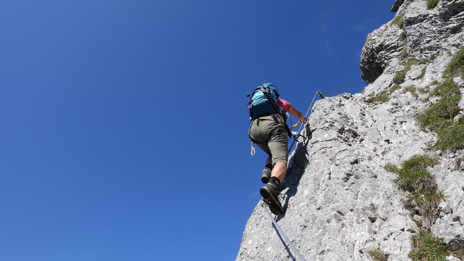 Klettersteiggarten am Stoderzinken  | © Alois Guggi Klettersteiggarten am Stoderzinken  | © Alois Guggi