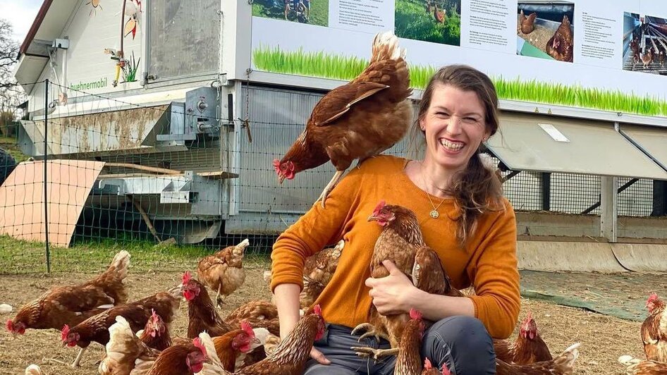 Wanderhuhn | Knippihof | © Knippihof Wanderhuhn | © Knippihof