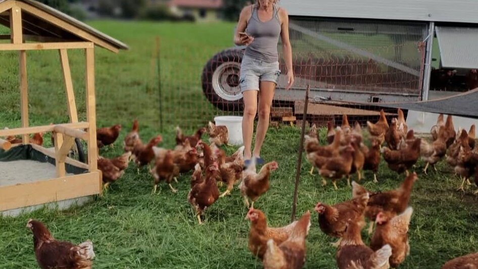 Knippihof - Impression #2.1