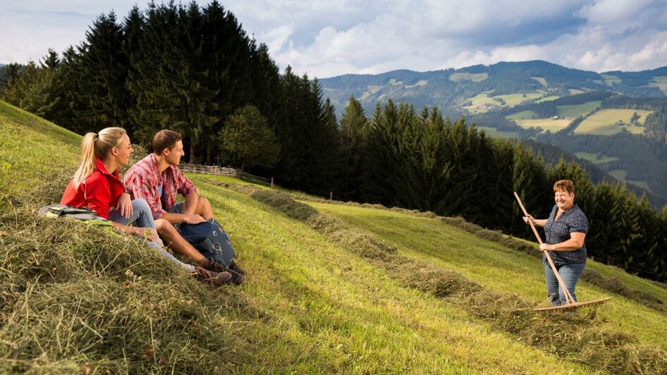 Kräuter Hochegger_Heu Ernte_Oststeiermark | © Kräutergarten Hochegger