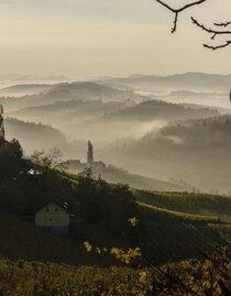 Landschaft Kästenburg | © KulturWeingut Kästenburg | © KulturWeingut Kästenburg